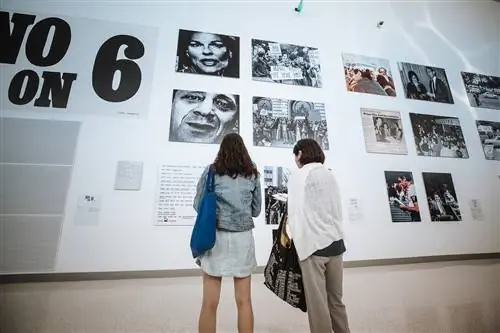 Выставка Harvey Milk в новом терминале