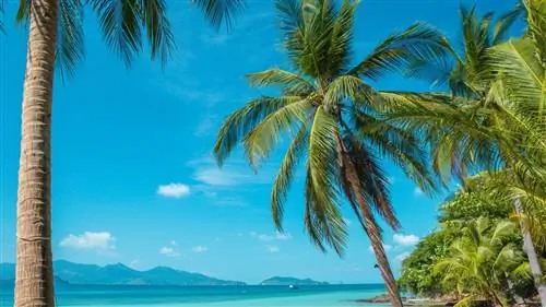 Джунгли и пляж на острове Ко Чанг, тайский Эдем в форме слона