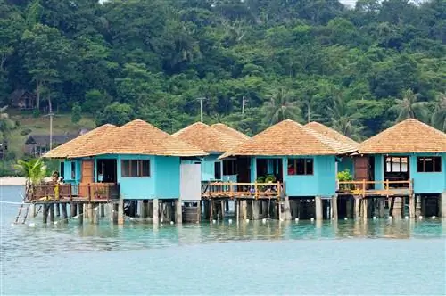 Бан Банг Бао