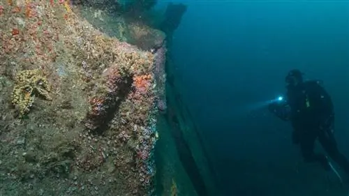 Rimartes, галисийский проект по спасению сокровищ со дна моря