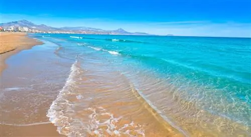 Его воды кричат