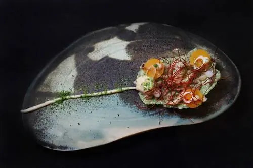 Блюда, чтобы знать 5 континентов.