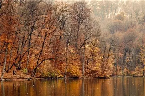 Дилижанский национальный парк осень