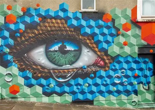 Граффити Paul Box на Upfest, крупнейшем фестивале граффити и уличного искусства в Европе.