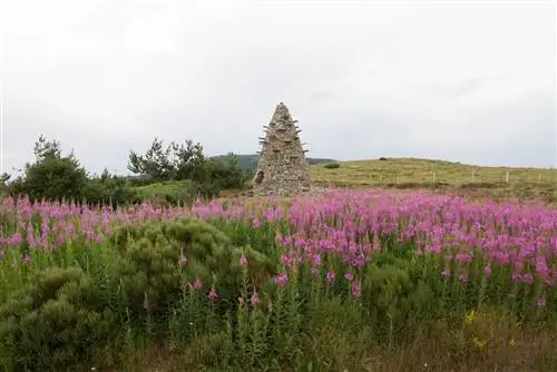 La Tour à Eau Partage