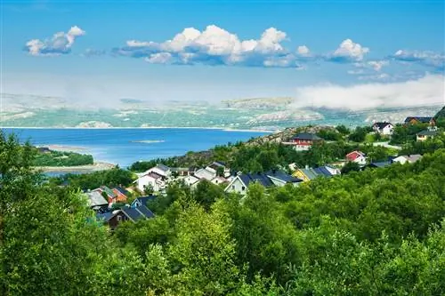 Заренгольд