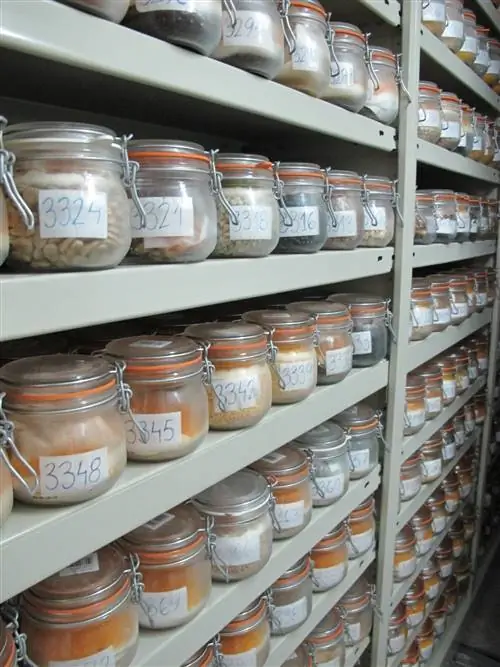 Банк семян Центра исследований и пищевых технологий Арагона