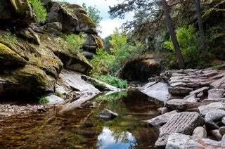 Ослиная пасть 1 час 25 минут