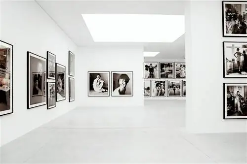 «Стивен Мейзел, 1993 год в фотографиях»
