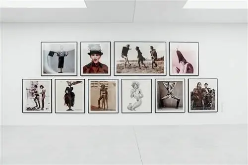 «Стивен Мейзел, 1993 год в фотографиях»