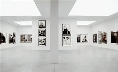 «Стивен Мейзел, 1993 год в фотографиях»