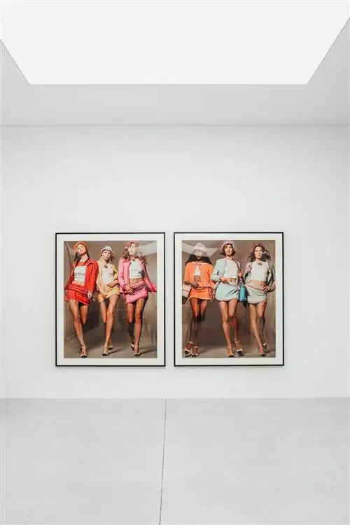 «Стивен Мейзел, 1993 год в фотографиях»