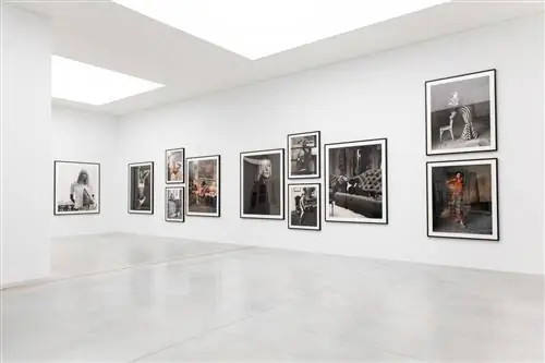 «Стивен Мейзел, 1993 год в фотографиях»
