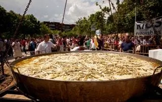 Тудела земля овощей и бобовых