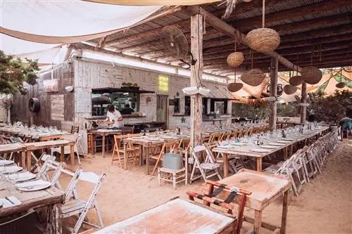 Kiss Beach, ты должен жить