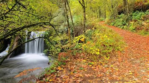 Muniellos, обещание сказочной осени