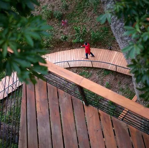 С деревьев Tree Casa, одного из самых известных кафе Гранады.