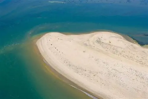 Устье реки в Пунта-Умбрии