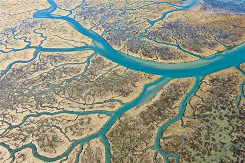 Одиэльские болота