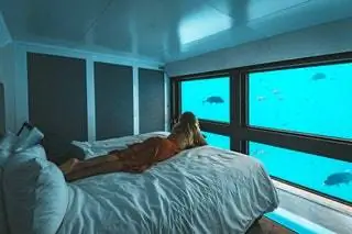 Один из «рифкостюмов» с окнами от пола до потолка, из которых видно море и рыбу на понтоне Whitsundays Cruise.