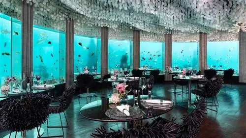11 самых впечатляющих подводных отелей мира