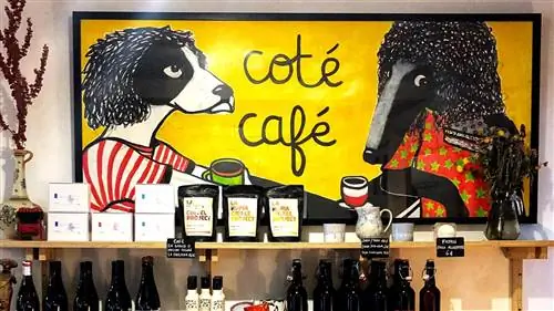 Coté Café, альтернативный (и вегетарианский) способ питания в Сьерра-Оэсте в Мадриде