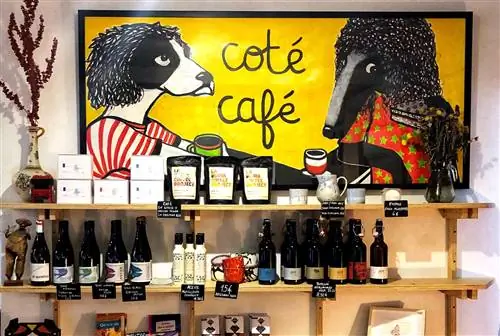 Фрагмент зала в Cot Café, вегетарианском ресторане с фирменным кофе в Сарзалехо.