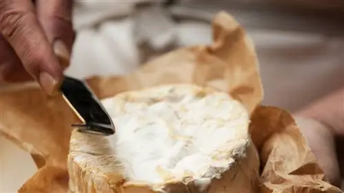 Семь отличных сыров (из семи испанских ремесленных сыроваренных заводов), которые нельзя пропустить