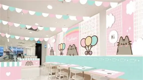 Pusheen Café, столовая для самого очаровательного (и вирусного) кота в сети