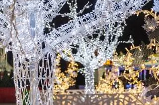 Концерт Валенсийского сообщества "Прибытие Рождества"