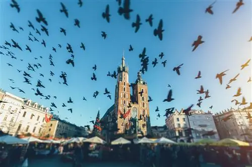 Rynek Glowny в Кракове