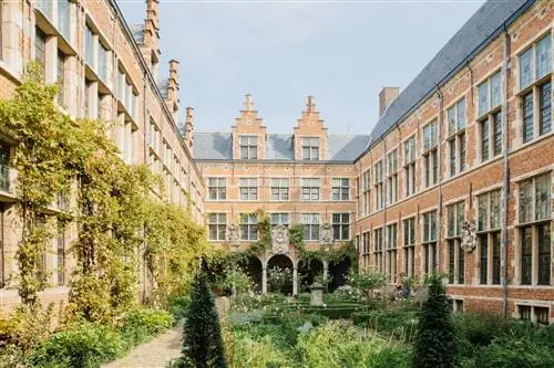 Антверпен. Кевин Фейнарт.