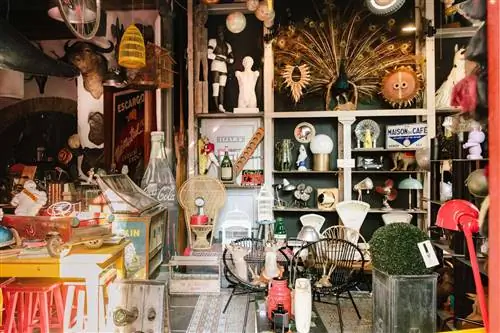 ведьмы. Кевин Фейнарт.