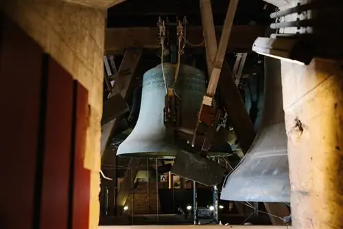 Мехелен. Кевин Фейнарт.