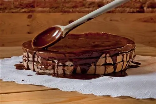 Самый лучший шоколадный торт в мире