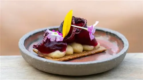 Кулинарная и ботаническая Фландрия от humus x hortense