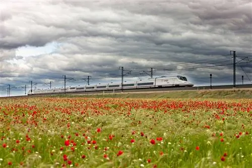 Поезд Renfe курсирует рядом с полем маков Поезд Renfe курсирует рядом с полем маков