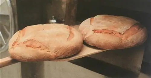 Отличный хлеб Силламайор