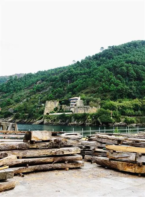 штабеля дубов