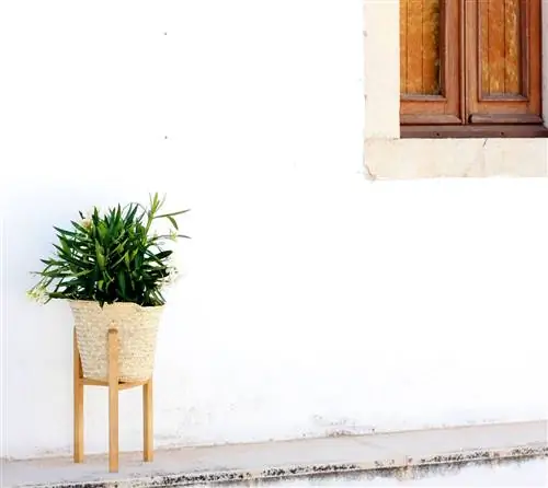 ПОКАЗАТЕЛЬ