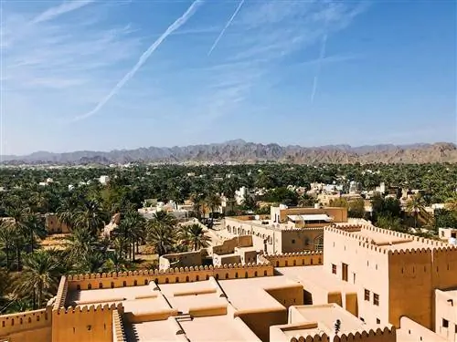Эссенция Nizwa Omani проникает в пальмовые рощи