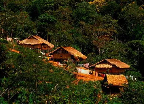 Кэмерон Хайлендс