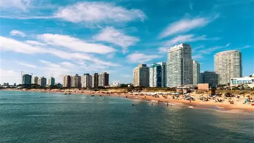 Нетронутая Риоха