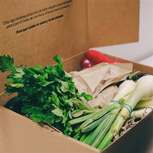 устойчивая гастрономия