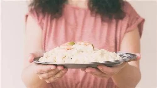 Наши любимые русские салаты на лето