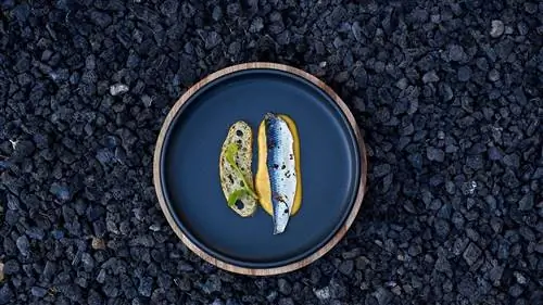 Ресторан недели: «Абориген»