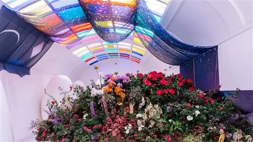 Как только мы подумали, что этот уголок Лондона не может стать более привлекательным для Instagram, весна взрывается и заливает его цветами