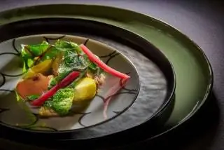 Рамон Фрейша