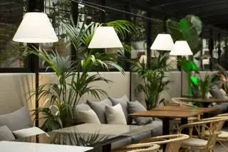 прекрасная флора