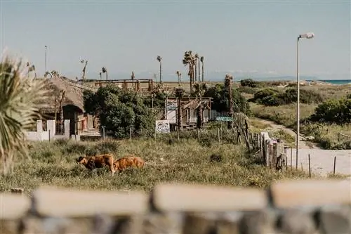 Каменный дом 7 El Palmar Cdiz